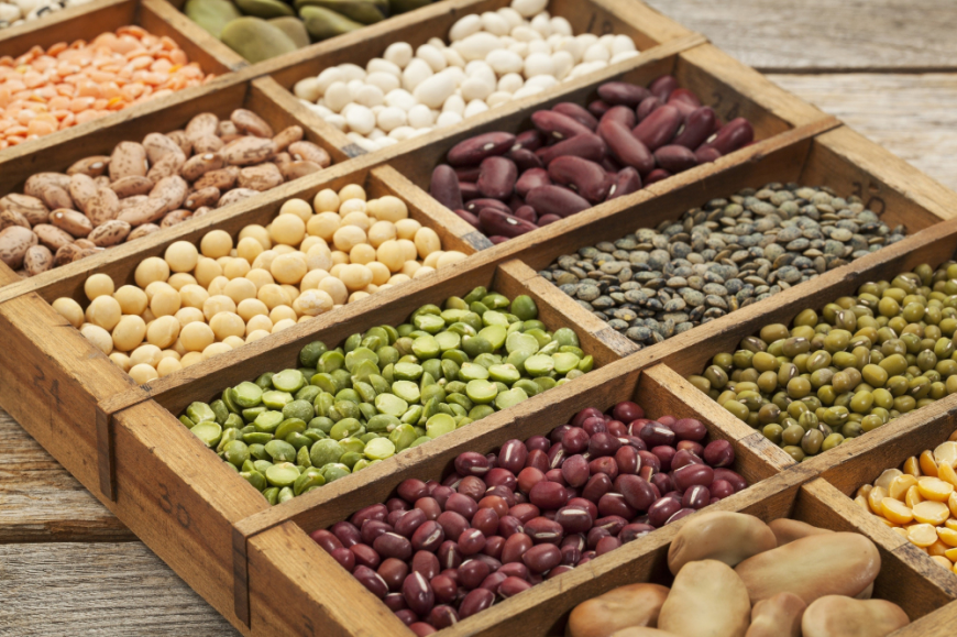 Vegetable Seed Market Growth, Trends, Forecast, and Insights