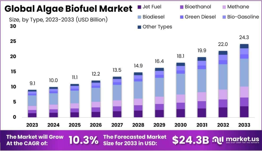Algae Biofuel Market Competitive Landscape and Major Producers