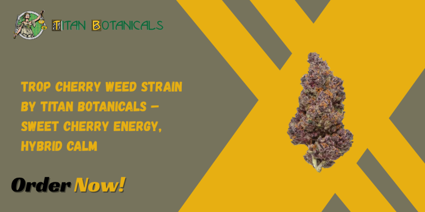 Trop Cherry Weed Strain by Titan Botanicals – Sweet Cherry Energy, Hybrid Calm