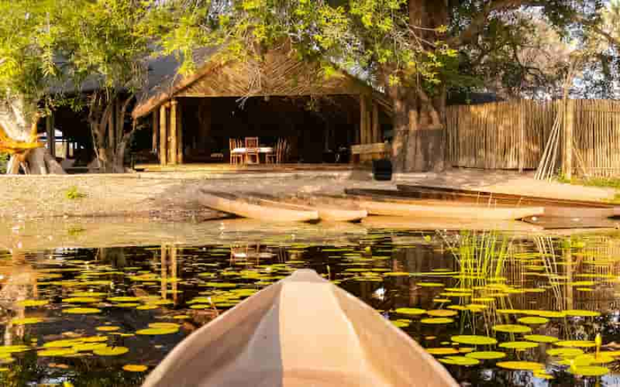 أهم الأسباب لزيارة بوتسوانا من دبي