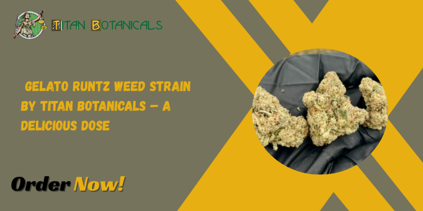 Gelato Runtz Weed Strain by Titan Botanicals – A Delicious Dose