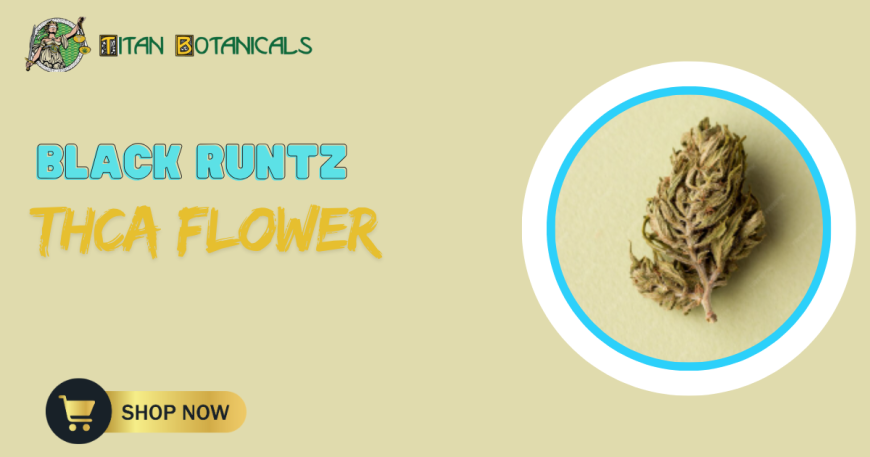 THCA Flower Runtz Review: Exploring Titan’s Sweetest Small Batch Strain