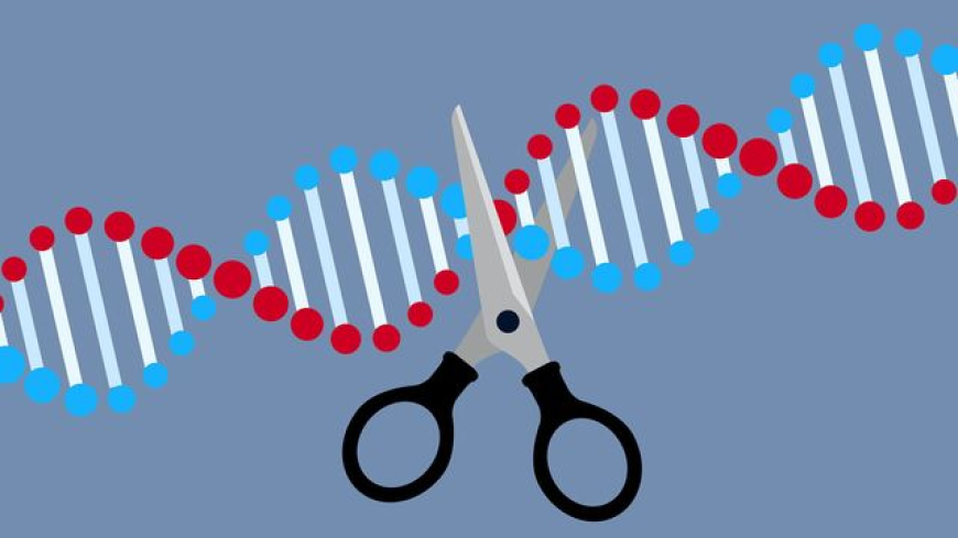 CRISPR Technology in Agriculture: The Next Green Revolution