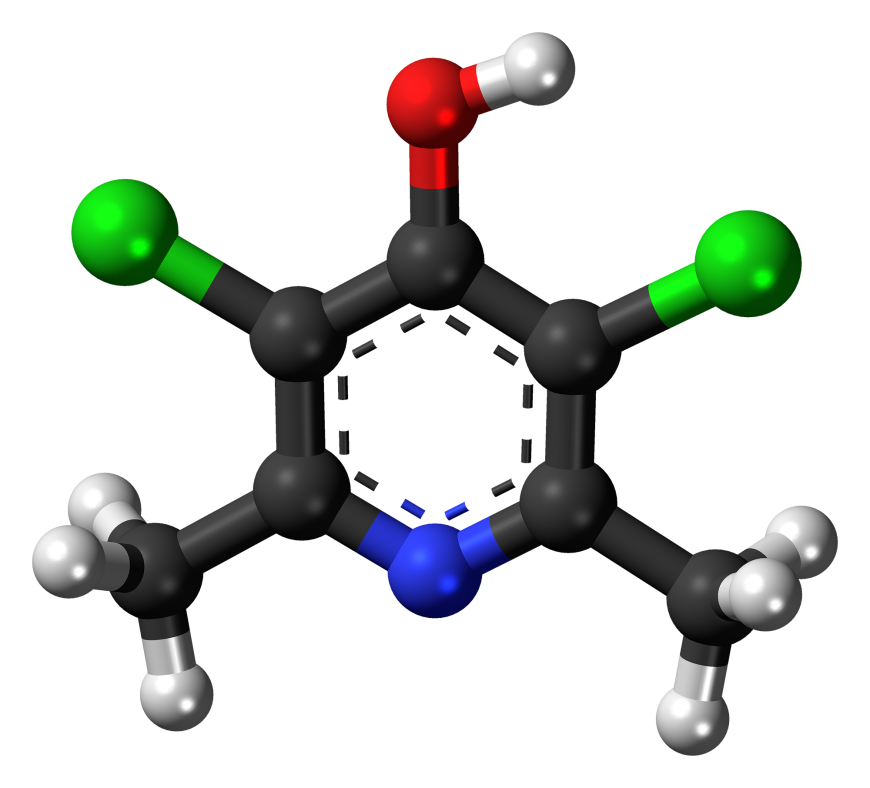 Clopidol Market Dynamics: Trends, Challenges, and Opportunities