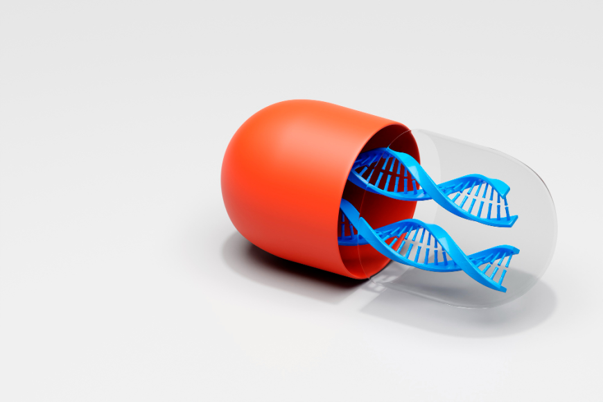 Erythromycin Market Outlook: Key Players, Applications, and Growth Opportunities