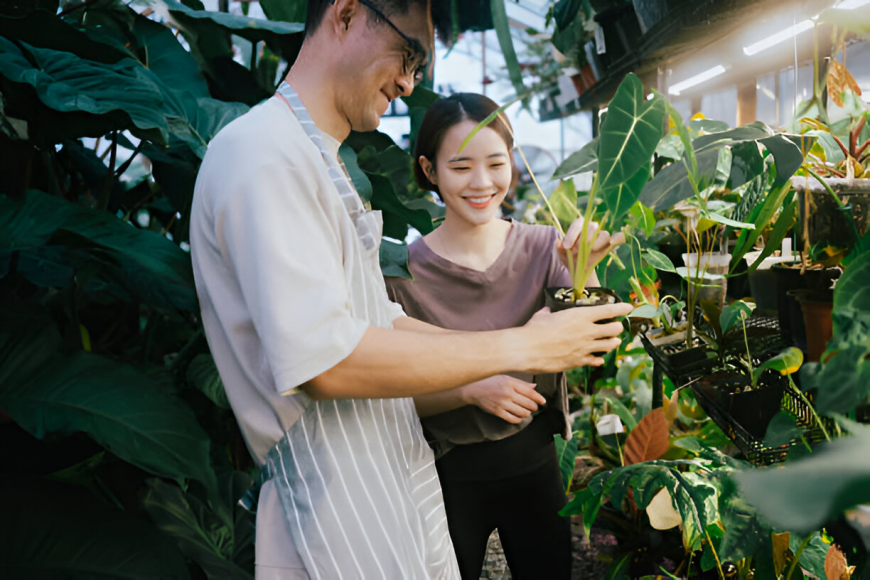 Why Terrarium Workshops Are Gaining Popularity in Singapore