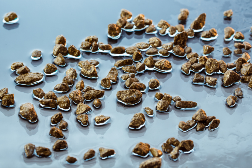 Premium Plant‑Based Fish Feed Market Outlook: Key Players, Applications & Opportunities