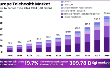 Europe Telehealth Market Competitive Landscape and Key Providers