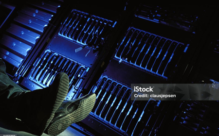 Data Center Accelerator Technologies: Market Insights and Future Outlook