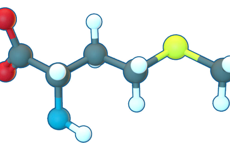 United Kingdom Pelargonic Acid Market Size, Trends, and Growth Forecast 2025-2032
