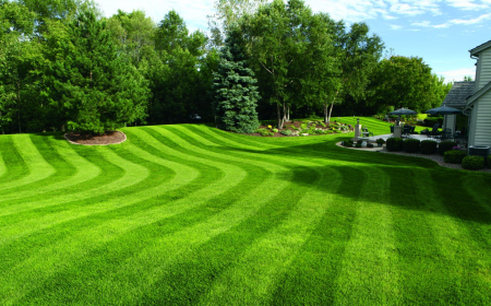 Transform Your Yard with Expert Landscaping Forest Hill Services