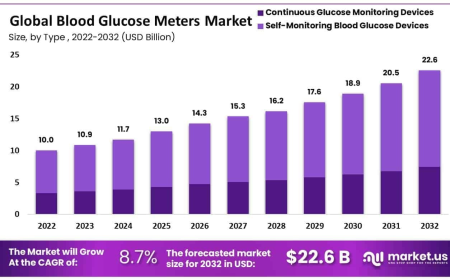 Blood Glucose Meters Market Role of Test-Strip Cost and Economic Factors