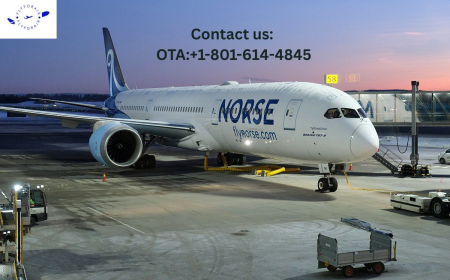 How do I contact to a live person at Norse?