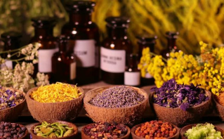 Global Botanicals Market Size, Trends, and Growth Outlook 2025-2032