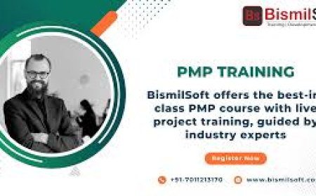 Why Bismilsoft’s PMP Online Training is Trusted by Project Managers Across India