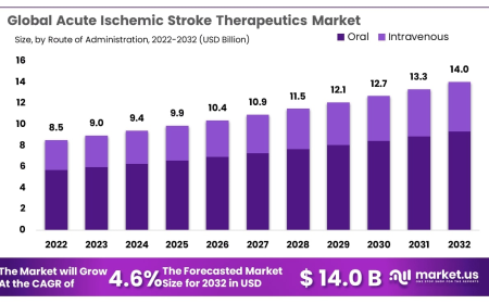 Acute Ischemic Stroke Therapeutics Market Use of Adjunct Antithrombotic Therapies
