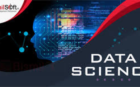 Why Bismilsoft’s Data Science Training in Noida Is the Right Choice for Future Data Experts