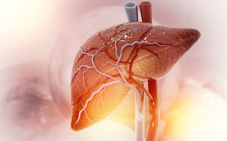 Lenegres Disease Market: Size, Trends, and Strategic Insights 2025-2032