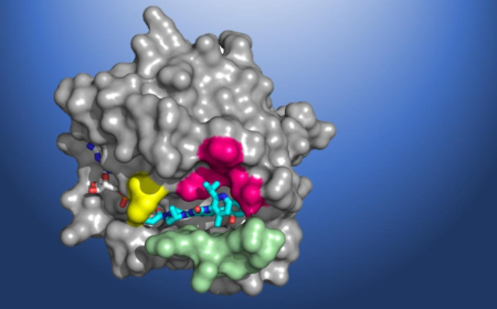 Global KRAS Inhibitors Market Growth and Strategic Insights 2025-2032
