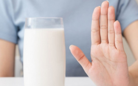 Lactose Intolerance Market: Size, Trends, and Strategic Insights 2025-2032