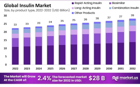 Insulin Market Overview and Strategic Landscape