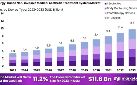 Energy-based Non-invasive Medical Aesthetic Treatment System Market Overview and Strategic Landscape