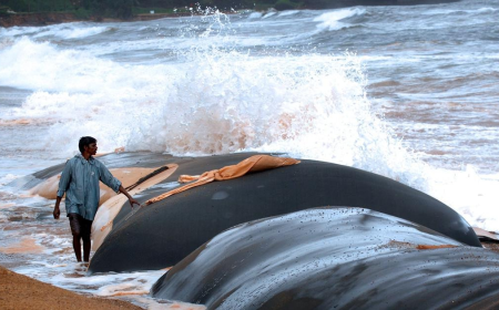 Innovative Water Separation Solutions with Geotextile Tubes in Environmental Projects