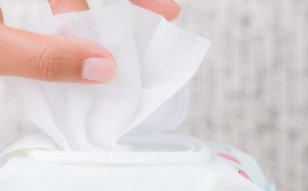 Global Baby Wipes Market Size, Trends, and Growth Forecast 2025-2032