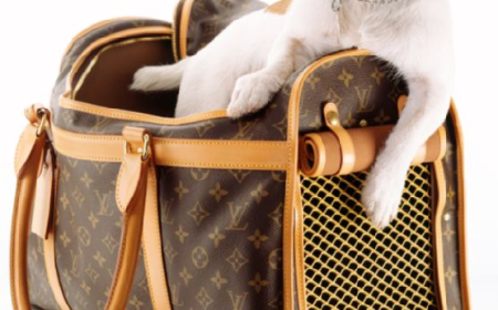 Why a Dog Carry Sling Is the Perfect Solution for Pet Owners on the Go