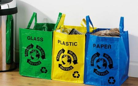 Recycled Paper Bags Market: Size, Trends, and Growth Opportunities 2025-2032
