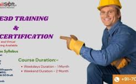 How Bismilsoft’s E3D Training in Noida Prepares You for Real-Time Project Work