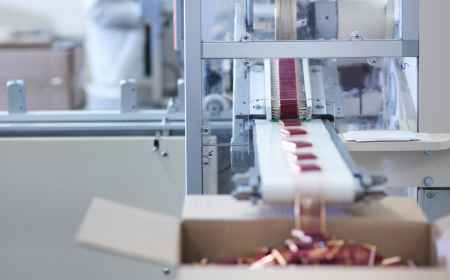 Packaging Machinery Market Size, Trends, and Growth Forecast 2025-2032