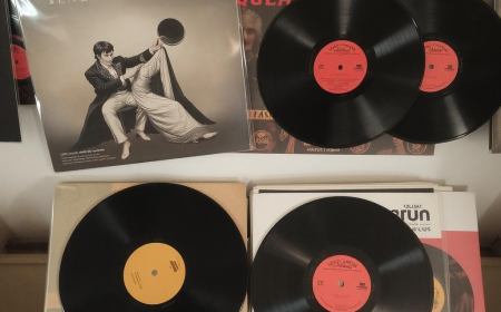 Why Buying Bollywood Vinyl Records Online Is More Popular Than Ever