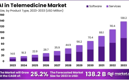 AI In Telemedicine Market Growth Drivers and Adoption Barriers