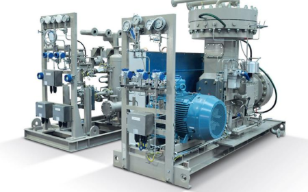 Hydrogen Compressor Market Size, Trends, and Growth Forecast 2025-2032