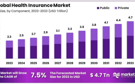 Health Insurance Market Future Innovation Pathways and Emerging Models