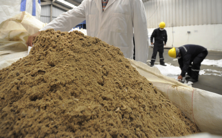 Exploring Growth Opportunities in the Fishmeal Market