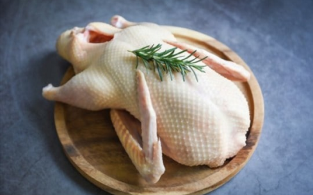 Why Fresh Poultry Makes a Difference in Taste and Nutrition