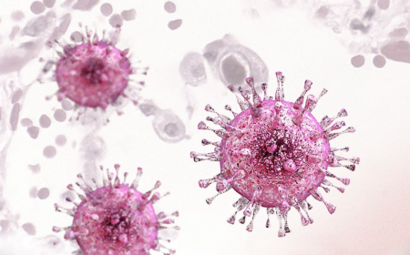 Cytomegalovirus (CMV) Infection Therapeutic Market Outlook 2025-2032