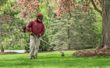 How to Achieve a Lush Lawn in Bloomington