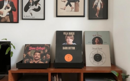 Legendary Indian Artists Who Released Vinyl Records