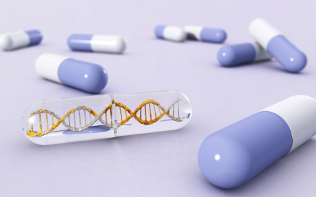 Propionic Acidemia Therapeutic Market: Size, Trends, and Growth Insights