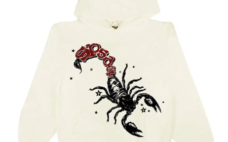 Spider Hoodie — a statement piece that has not only gained