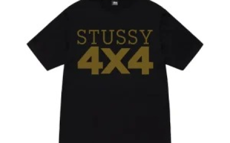 Stussy hoodie an iconic piece that continues to shape