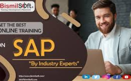 Real-Time Projects and Placement Support: What to Expect from SAP FICO Training in Delhi
