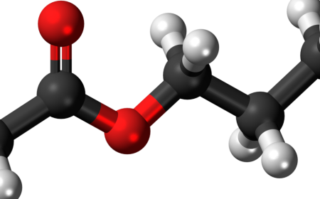 Propionic Acidemia Therapeutic Market: Size, Trends, and Growth Insights