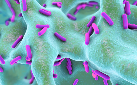 Pseudomonas Aeruginosa Infection Market Growth and Future Outlook 2025-2032