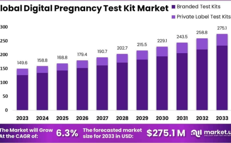 Digital Pregnancy Test Kit Market Future Trends and Emerging Smart Fertility Innovations