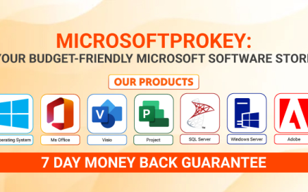 Can I Buy Good Quality Microsoft Windows 10 Pro from Any Website for Low Money?
