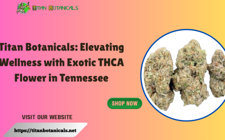 Titan Botanicals: Elevating Wellness with Exotic THCA Flower in Tennessee